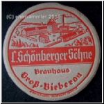 grossbib (7).jpg